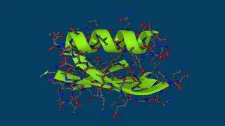 What is a protein?