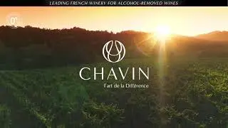 Pierre Chavin Brand Video