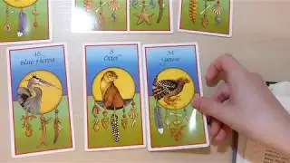132. #9TotemAnimalsSpread with Medicine Cards