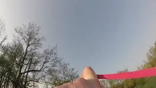30yd pigeon head shot, slow mo, zoom.