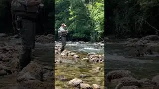 Fighting a Big Grayling! Kupa River Croatia 🇭🇷 #shorts