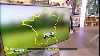 Framboise: la fragile correzienne