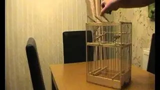 Double Aviary Trap Cage