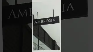 AMBROSIA-PERFUME | BRANDING DESIGN