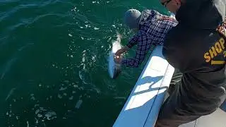 Epic Striped Bass Fishing!!!!! - NJ Fall Run 2020 - Part 1