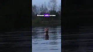 Ужасная правда