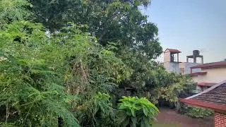 It's a beautiful morning from my house balcony.  birds singing is awesome.