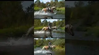 Horse Riding slow motion