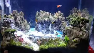 air terjun aquascape tanpa co2 pemandanagan pegunungan