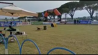 1&deg; posto gara hoopers categoria junior standard (Lusy e Rysa)