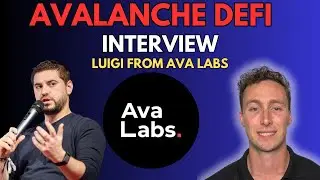 Interview with Head of DeFi at Ava Labs, Luigi D'Onorio DeMeo