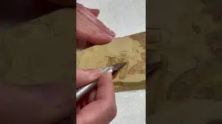 Fossil Fish - Evidence of Catastrophism (Noah's Flood) #fossil