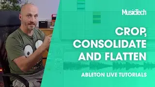 Обучающие материалы Ableton Live: обрезка, объединение и выравнивание