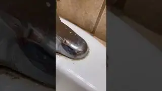 Soap Scum Remover ##shortvideo