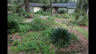 Backyard Nature Network Video Series - Use Native Plants