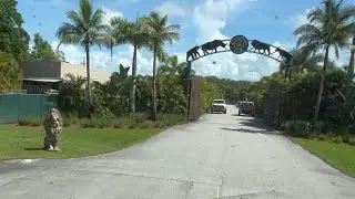 Driving thru Lion Country Safari, West Palm Beach