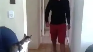 Cool Cat Fist Bump!