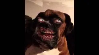 ZombieBooth 2 Free