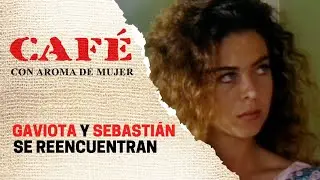 Gaviota se reencuentra con Sebastián Vallejo | Café, con aroma de mujer 1994