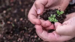 Jim Bryan talks about CTK's Gardening Team