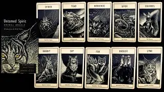 Untamed Spirit Animal Oracle Walk Thru