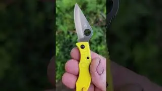 Spyderco Ladybug 3 Salt H2 edition