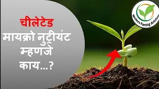 चीलेटेड मायक्रो न्युट्रीयंट म्हणजे काय chelated micronutrient