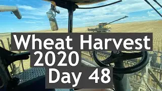 Wheat Harvest 2020 - Day 48