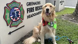 Negan the Therapy Dog brings love to Florida Firefighters