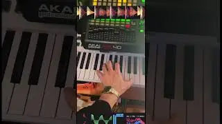 Noodlin&rsquo; 🎹 Did you spot the cat? 😻👀 #indietronica #synthpop #electronicmusic #ableton