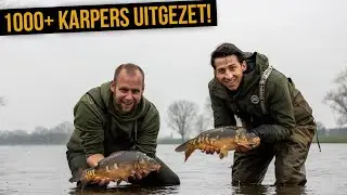 KARPERUITZETTING OP DE ZUID-WILLEMSVAART EN MAAS | KWO For The Future '21