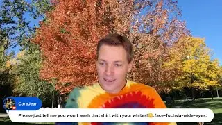 Delphi Live Chat &mdash; 19 ноября 2023 г.