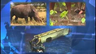 Shamu TV SETV