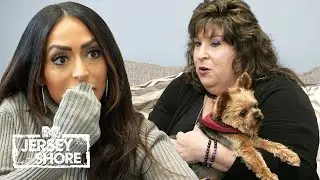 Angelina, The Pet Psychic, & The 
