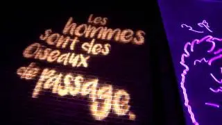 CHARLOTTE | Illuminart 2017