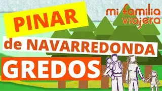 PINAR de NAVARREDONDA en la SIERRA de GREDOS