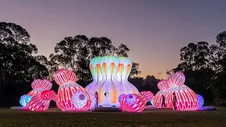 Cupids Koi Garden | Sydney Festival 2023