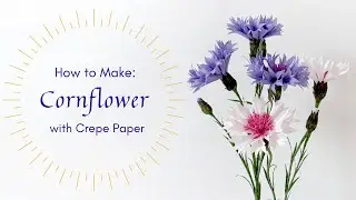 Making Cornflower with Crepe Paper | Sneak Peek