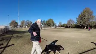 Disc Dog 2026 First Rounds
