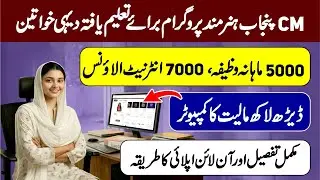 CM Punjab Free Online Courses | Hunarmand Naujawan Program | Digital Skill Program for Rural Women