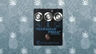 Caroline Guitar Co. Hawaiian Pizza Demo