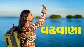 Wadhvana Bird Sanctuary  | Gujarat’s Hidden Paradise for Migratory Birds Near Vadodara