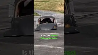 Самый низкий Volkswagen Beetle в истории!?! #Шорты