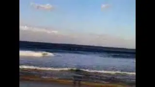 Culburra Surfer's