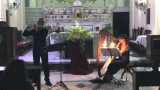 Brian Boru's March - Traditional Irish - Flute & Harp - Live Recording