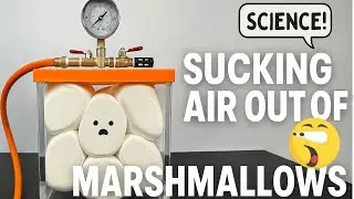 Vacuum Chamber vs. Marshmallows | Gas Laws Experiments are Fun!
