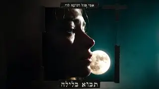 אבי סגל ונועם לוי - תבוא בלילה