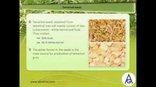 Altrafine Gums - About Tamarind Gum Powder and Properties of Tamarind Kernel Powder