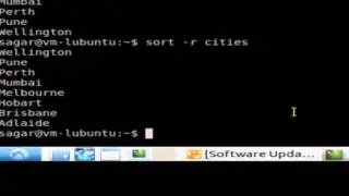 How to sort the file contents in Linux