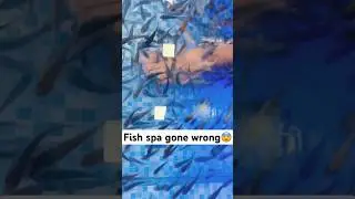 Fish spa gone wrong😨#goa #youtubeshorts #trending #viral #water #viralvideo #fish #fishing